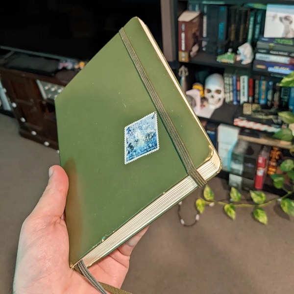 A hand holds a beaten olive green journal. In the background is a bookcase with a long trailing creeper plant, a human skull, and many books.